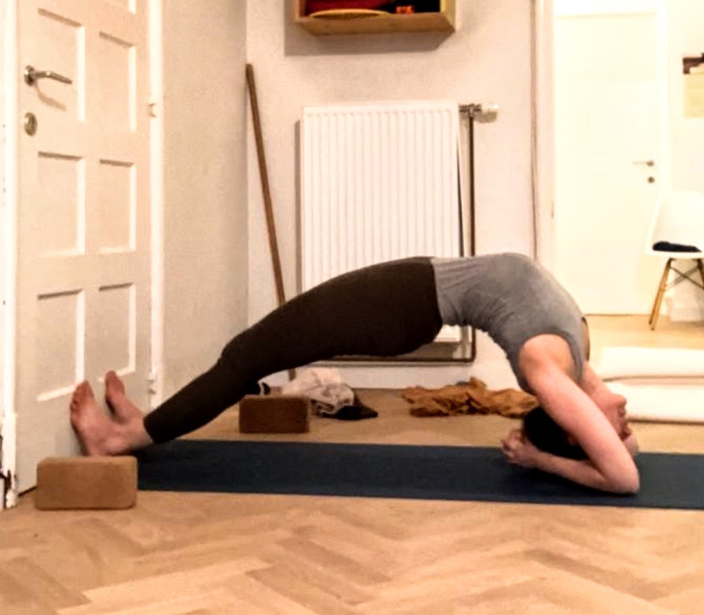 LANGE LES MA 10 november 2025 MET SIEL 19:00-21:00 : schouders en nek ALL LEVELS