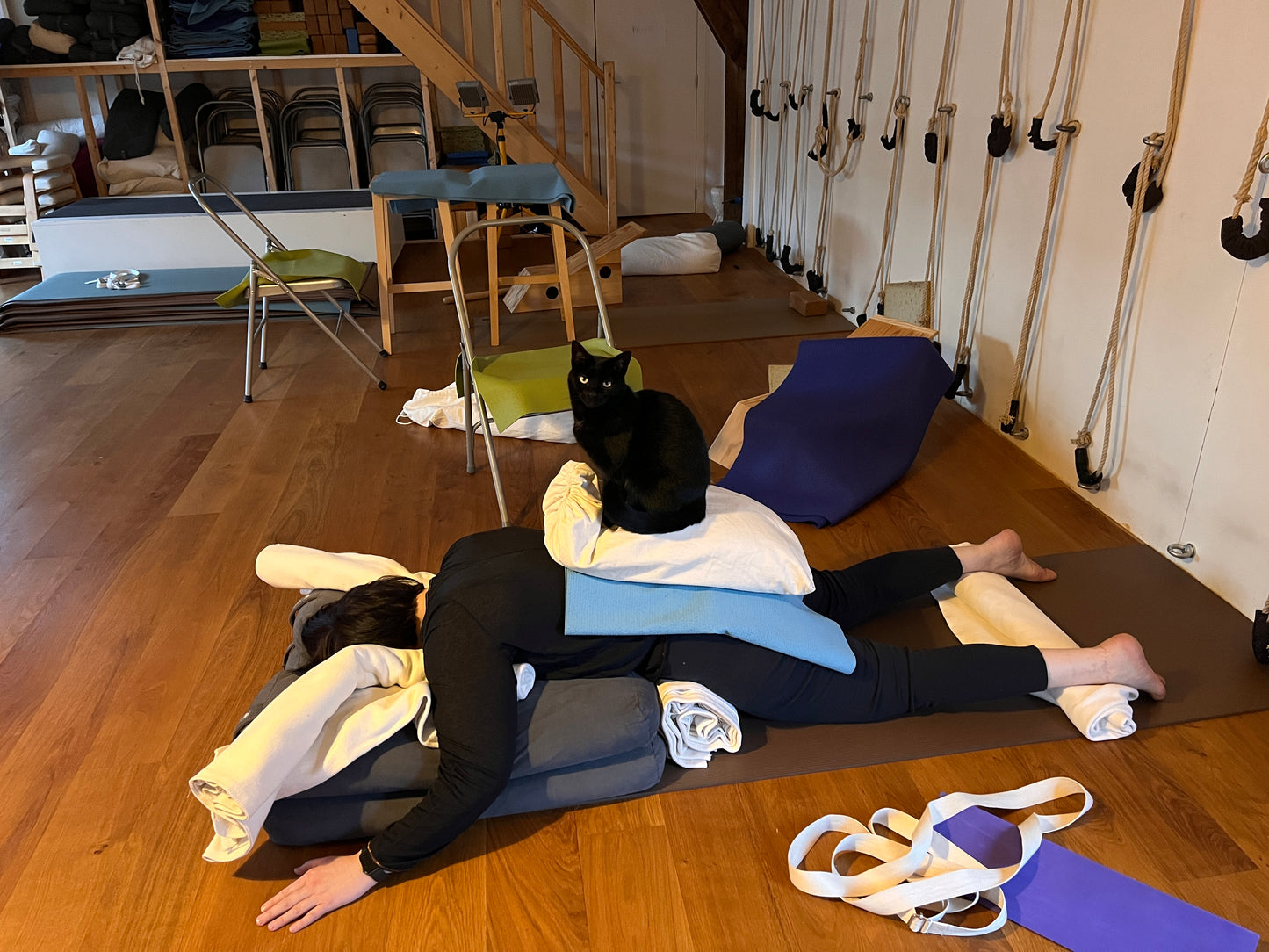Therapeutisch/Medische Iyengar Yoga met Shai Kaplan, Eva Kamala en assistenten VRIJDAGEN 10U30-12U15
