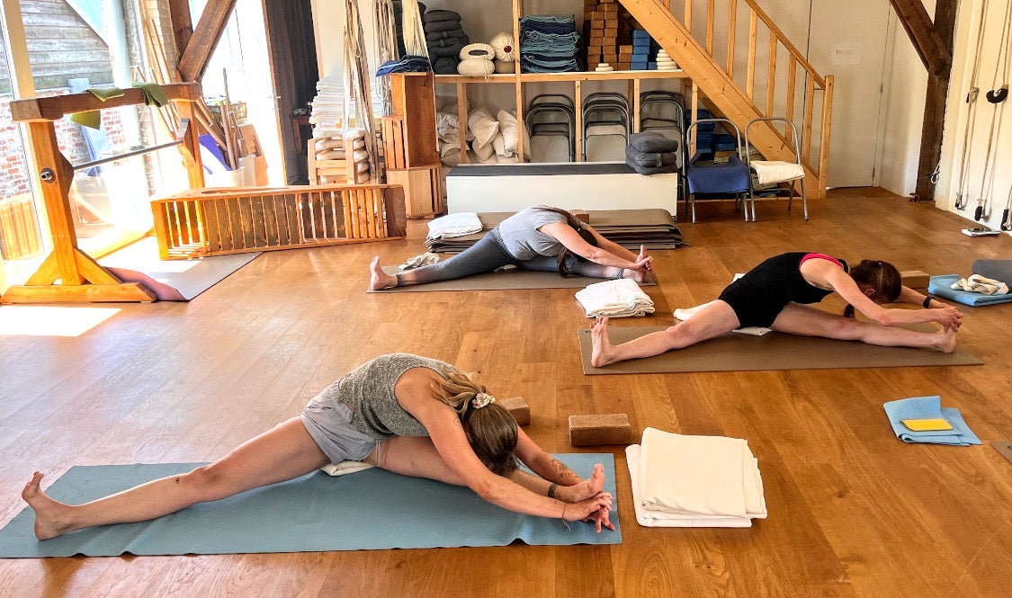 Verdieping level 1/Mentorship Iyengar Yoga Reeks vrijdagnamiddagen vanaf sept 2026