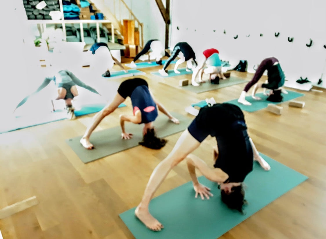 Verdieping level 1/Mentorship Iyengar Yoga Reeks vrijdagnamiddagen vanaf sept 2026