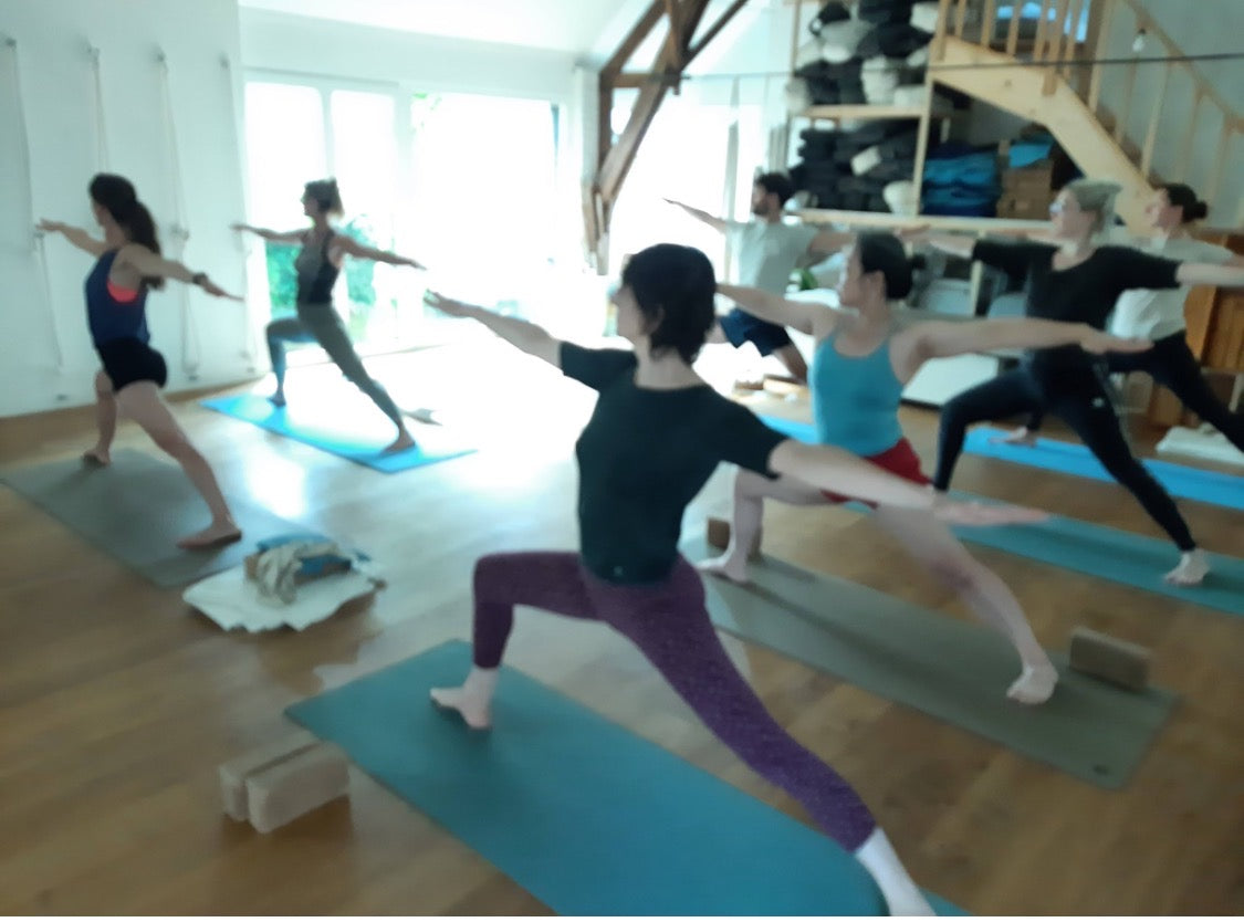 Verdieping level 1/Mentorship Iyengar Yoga Reeks vrijdagnamiddagen vanaf sept 2026