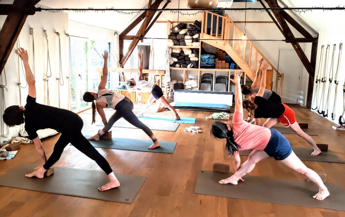 Verdieping level 1/Mentorship Iyengar Yoga Reeks vrijdagnamiddagen vanaf sept 2026