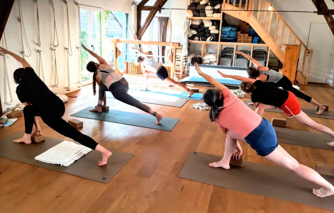 Verdieping level 1/Mentorship Iyengar Yoga Reeks vrijdagnamiddagen vanaf sept 2026